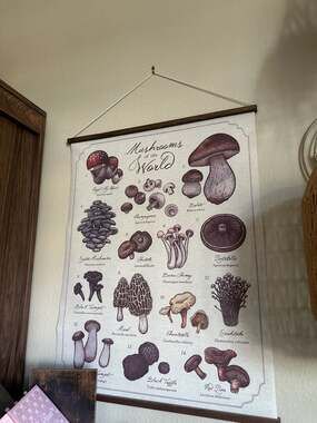 Earthbound Mushrooms of the World Canvas Wall Hanging with Wooden Dowel